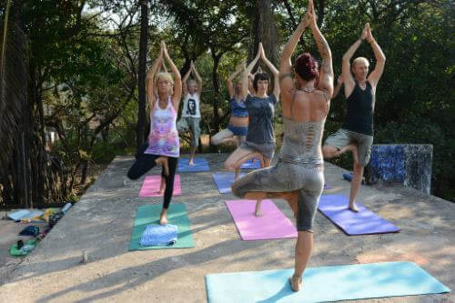 Yoga mit Verstand - Hatha flow